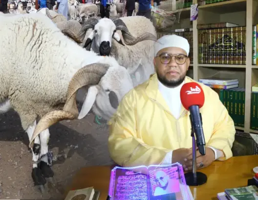 مع قرب عيد الأضحى .. هذا كل ما يجب أن تعرفه عن أحكام وشروط الأضحية