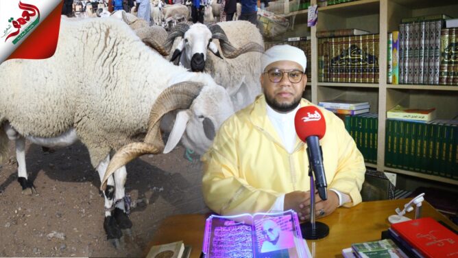 مع قرب عيد الأضحى .. هذا كل ما يجب أن تعرفه عن أحكام وشروط الأضحية