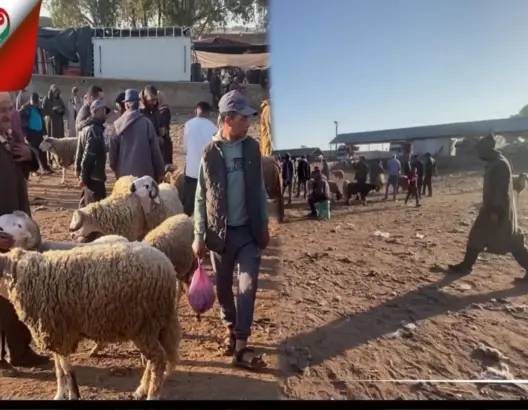 سوق جمعة الحوزية.. ركود تجاري وغياب رؤوس الأغنام