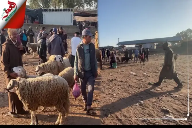 سوق جمعة الحوزية.. ركود تجاري وغياب رؤوس الأغنام