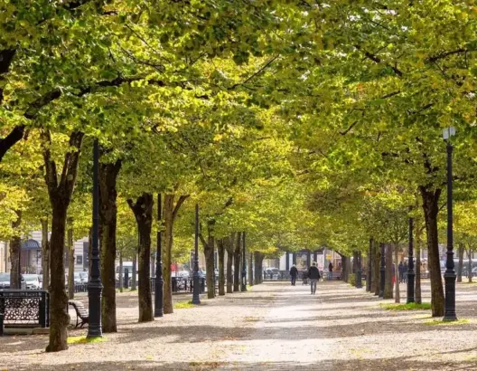 تزامنا مع ميدكوب 2023.. الجمعية المغربية للمنظريين تنخرط في مواجهة التغير المناخي