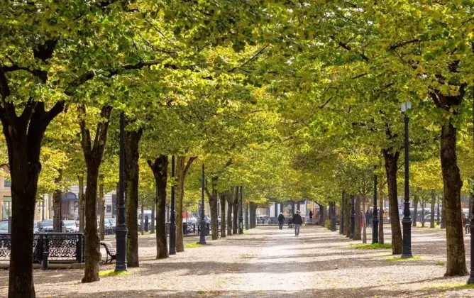 تزامنا مع ميدكوب 2023.. الجمعية المغربية للمنظريين تنخرط في مواجهة التغير المناخي