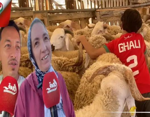 “الحولي غالي”.. مواطنون بالجديدة: “المسكين مبقاش يعيد”