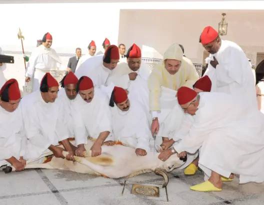 رسميا.. الملك يؤدي صلاة العيد بتطوان واستعدادات مكثفة بمسجد الحسن الثاني (فيديو)