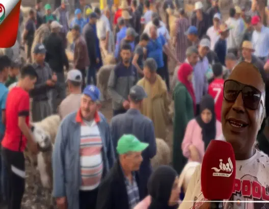 كساب بالجديدة: الصردي سلطان الأكباش