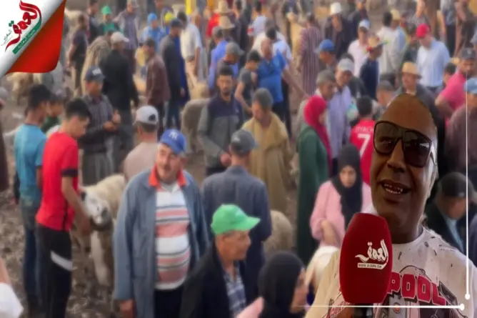 كساب بالجديدة: الصردي سلطان الأكباش