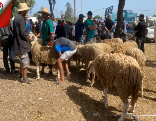 أجواء اليوم الأخير قبل العيد برحبة أزمور