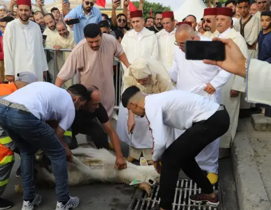 بالأذكار واللباس التقليدي.. ملايين المغاربة يؤدون صلاة عيد الأضحى ويشرعون في نحر أضاحيهم