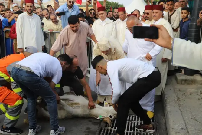 بالأذكار واللباس التقليدي.. ملايين المغاربة يؤدون صلاة عيد الأضحى ويشرعون في نحر أضاحيهم
