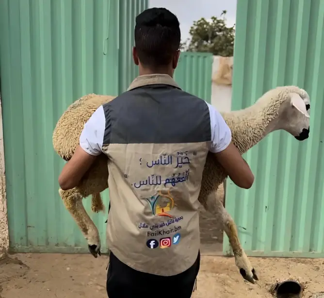 “فاعل خير” توزع أزيد من 50 كبشا على الأسر المعوزة ببني ملال