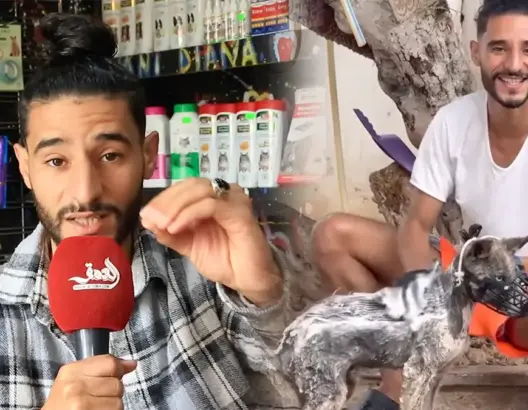 زكرياء ناني.. قصة أشهر منقذ الحيوانات الضالة في الشوارع (فيديو)