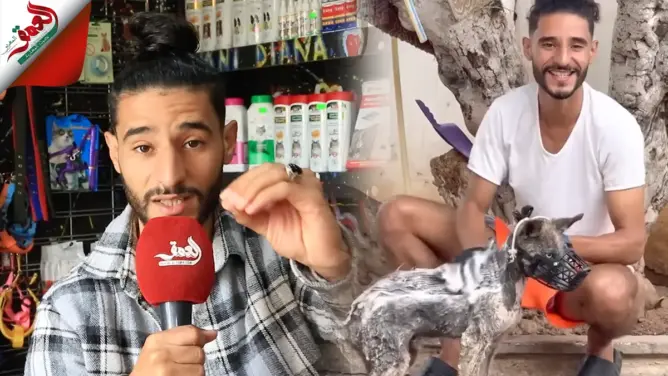زكرياء ناني.. قصة أشهر منقذ الحيوانات الضالة في الشوارع (فيديو)
