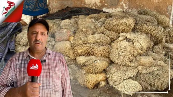 حرفي يشرح مراحل صناعة “الهيدورة” ويتحسر على ضياع “ثروة جلدية” (فيديو)