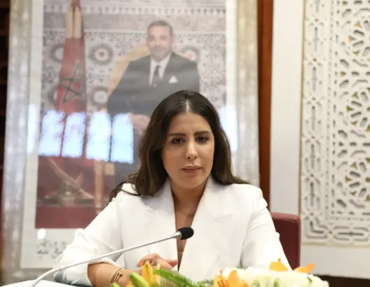 بوعيدة: سياسة المغرب تجاه إفريقيا مبنية على الصدق والتضامن الدائمين
