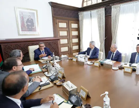 أخنوش يؤكد أهمية القرض الفلاحي في توفير الدعم للفلاحين ومربي الماشية