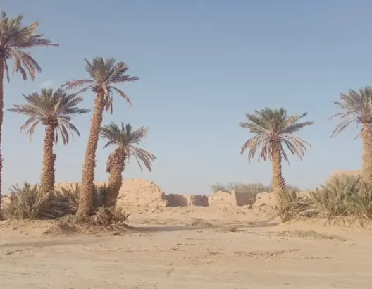 “احياء الواحات” ربع المهلكات وربع المنجيات