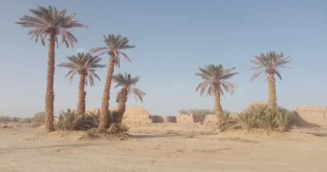 “احياء الواحات” ربع المهلكات وربع المنجيات