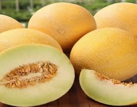 رغم الجفاف.. صادرات المغرب من البطيخ تتجاوز 56 ألف طن بزيادة %25