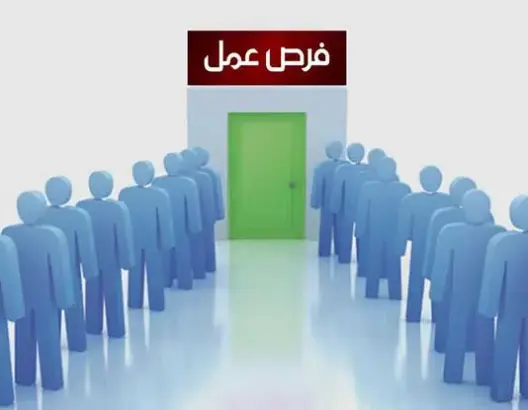 فرص عمل.. 208 مناصب في تخصصات متنوعة