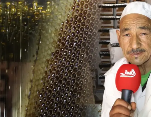 صاحب تعاونية يكشف أسرار تربية النحل وأنواع العسل ويشكو ضعف الإنتاج