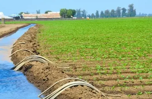 دراسة: الإصلاحات الزراعية كرّست أزمة إدارة المياه بالمغرب