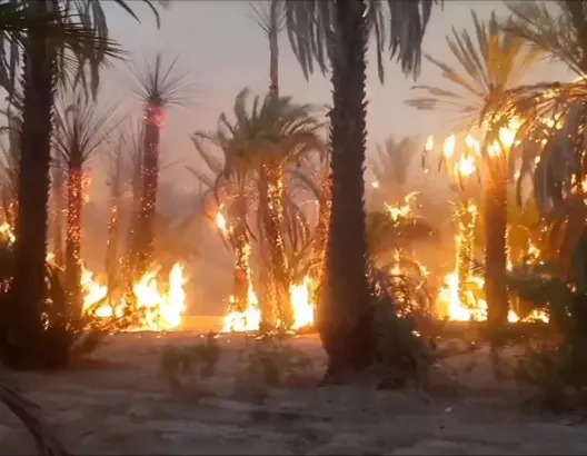 مطالب برلمانية بتعويض متضرري حرائق طاطا من صندوق الكوارث الطبيعية