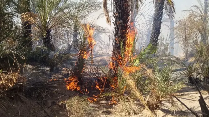 حريق بإحدى واحات طاطا