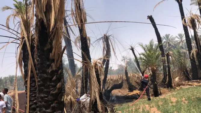 مطالب برلمانية بتعويض الفلاحين المتضررين من حرائق واحة طاطا