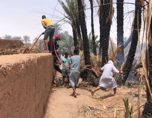 حريق مهول بزاوية البركة نواحي زاكورة