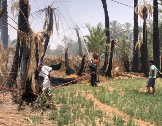 واحات درعة تافيلالت بين مطرقة الجفاف وسندان الحرائق ودعوات لتحرك استباقي 