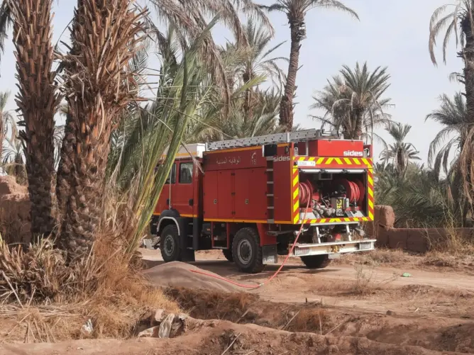 زاكورة.. إخماد حريق بتمكروت أتى على عشرات أشجار النخيل