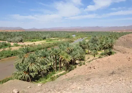 مطالب للصديقي ببناء “حاجز وقائي” على ضفة واد درعة بزاكورة