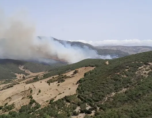 حريق مهول يندلع بغابة “عين الحصن” بين تطوان وطنجة وطائرات الإطفاء تتدخل