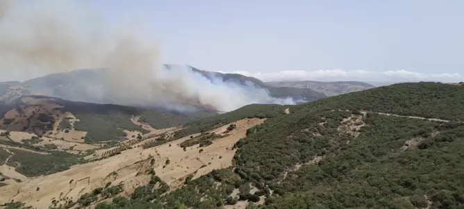 حريق مهول يندلع بغابة “عين الحصن” بين تطوان وطنجة وطائرات الإطفاء تتدخل