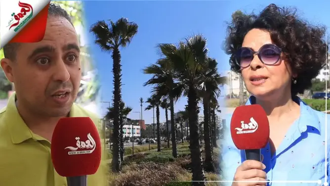 حماة البيئة يطالبون بوقف غرس النخيل بالمدن ترشيدا للمال العام (فيديو)