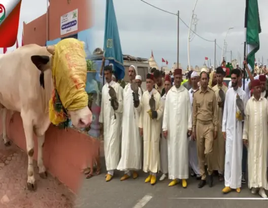 “نهار الهدية” تبهر زوار موسم مولاي عبدالله والرئيس يصحح مغالطات (فيديو)