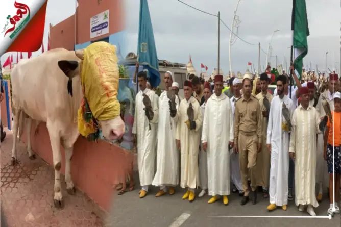 “نهار الهدية” تبهر زوار موسم مولاي عبدالله والرئيس يصحح مغالطات (فيديو)