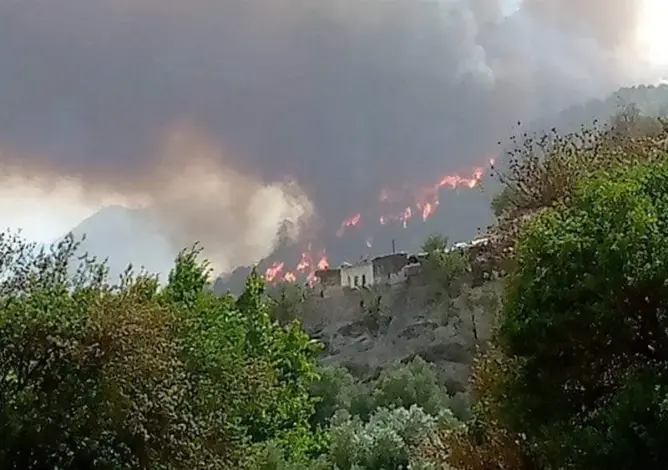 فرق الإطفاء تعلن السيطرة بشكل شبه تام على حريق “مغراوة” بتازة