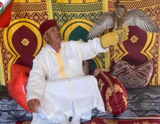 صقار يتحدث عن الصيد بالصقور ويحذر من انقراض “الطير الحر”