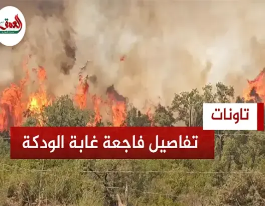 تفاصيل الحريق الغابوي بتاونات