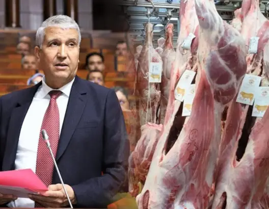 أسعار اللحوم الحمراء تُواصل الارتفاع ومهنيون: الاستيراد “حلّ ترقيعي” لا يُلبي الحاجيات