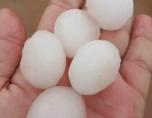 “البرد الكبير” يثير الفزع وسط ساكنة أوطاط الحاج