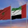 تحالف عسكري وصناعي.. المغرب يتحول إلى بوابة استراتيجية لصناعات الدفاع الإماراتية نحو إفريقيا