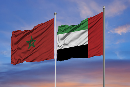 رئيس الإمارات يوجه لتسيير جسر جوي لنقل المساعدات للمغرب