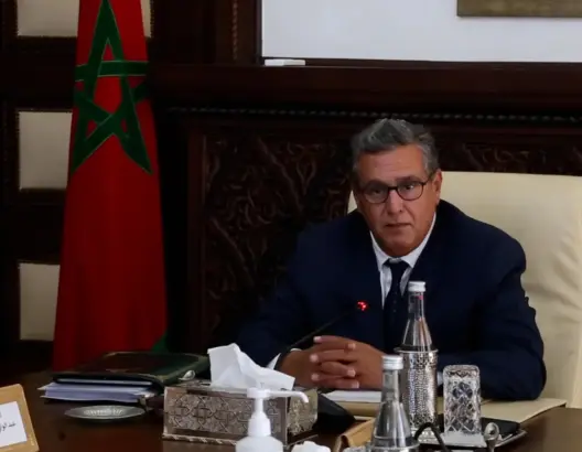 أخنوش: سنعلن قريبا تفاصيل برنامج إعادة التأهيل.. والأولوية حاليا لإنقاذ وإعانة الضحايا (فيديو)