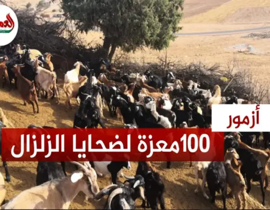 ساكنة أزمور تتبرع بـ100 رأس ماعز لضحايا الزلزال