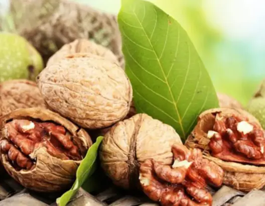الكساد يهدد أشجار “الكركاع” بالموت.. ومزارعون مستاؤون من إغراق السوق بالمنتوج المستورد
