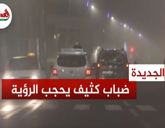 ضباب كثيف يحجب بالجديدة