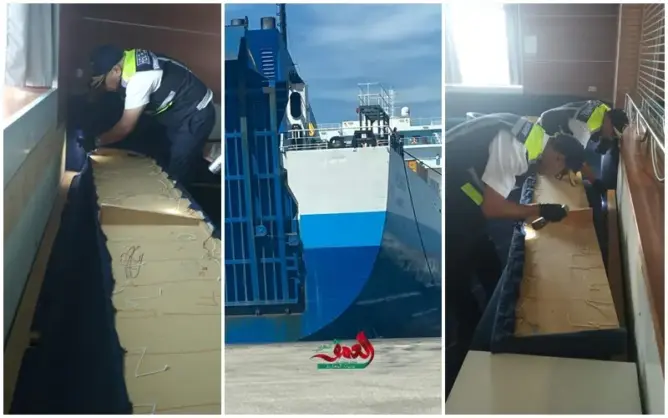 “العمق” تكشف تفاصيل رصد “البق” بباخرة فرنسية وكيف تعامل معها المغرب