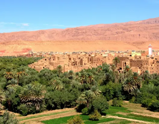 لغضف ماء العينين: تنغير وجهة سياحية واعدة تستعد لاستثمارات بـ460 مليون درهم